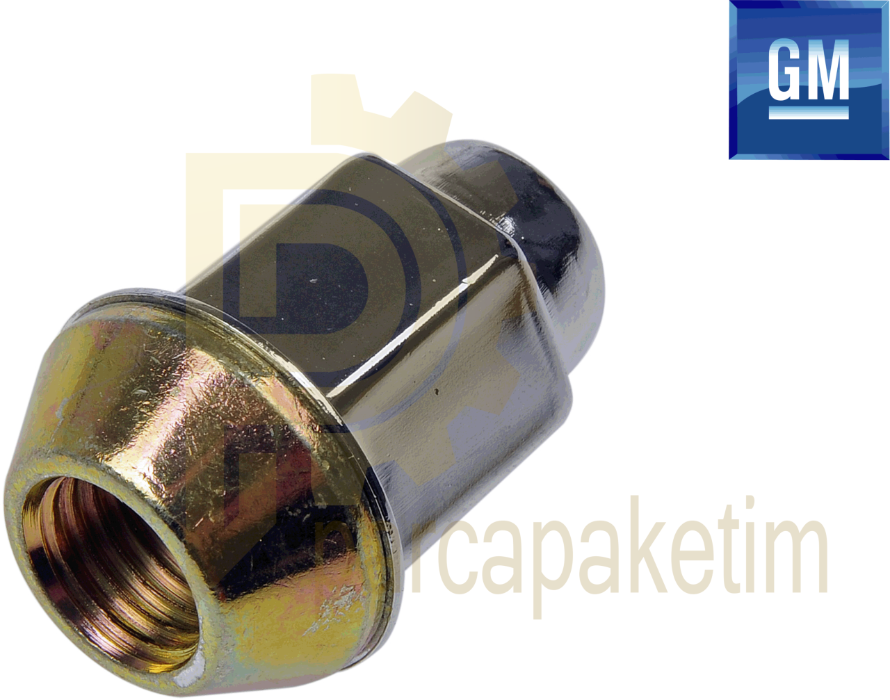 Chevrolet Aveo Bijon Somunu 2012-2014 [Orijinal GM]
