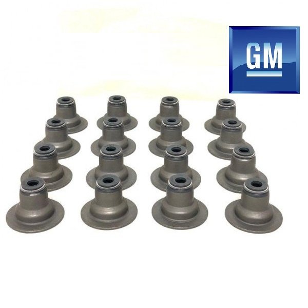 Chevrolet Aveo Supap Lastiği 1.4 16V 2009-2011 [Orijinal GM]