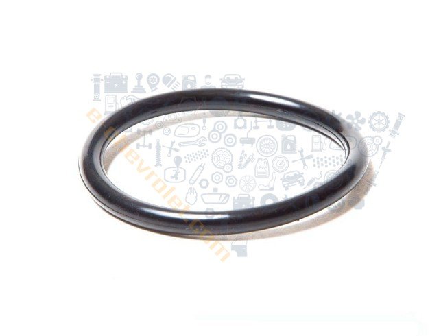 Chevrolet Aveo Termostat Contası 1.4 16V 2006-2008 [Orijinal GM]
