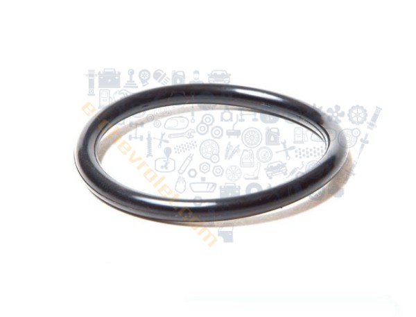 Chevrolet Aveo Termostat Contası 1.4 16V 2006-2008 [Orijinal GM]