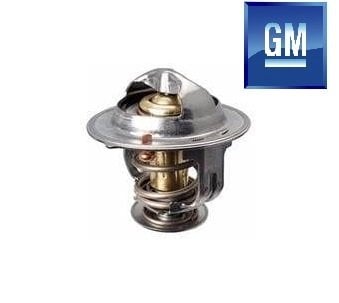 Chevrolet Captiva Termostat 2007-2011 [Orijinal GM]